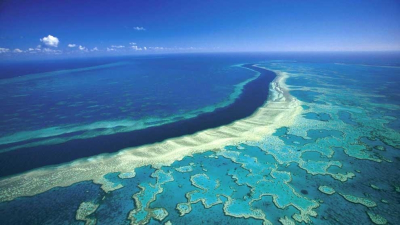 Descubierto un nuevo arrecife de coral en la Gran Barrera de Australia, el primero en 120 años