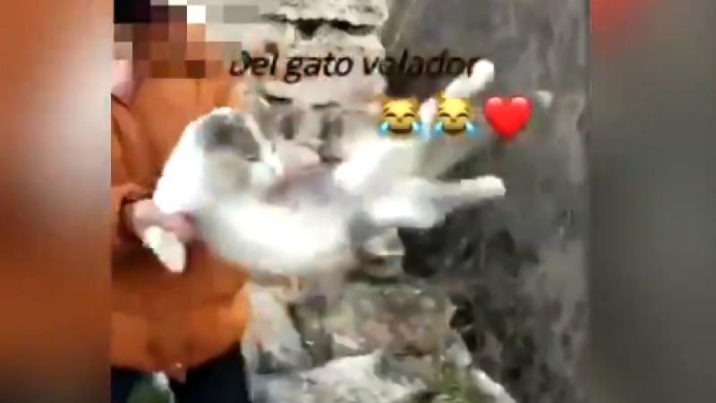 Una joven de Deifontes arroja a una gata por un barranco y sube un vídeo burlándose.