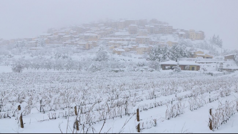 Horta de Sant Joan nevat després del pas del temporal Filomena.