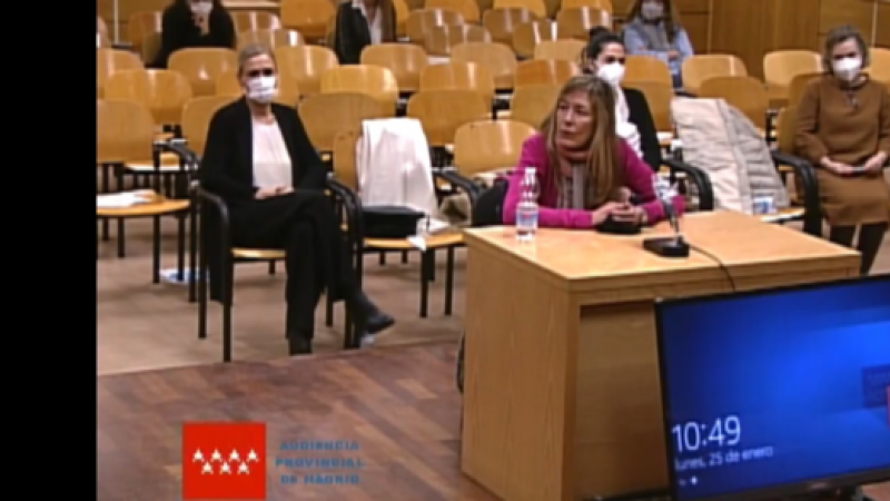 25/01/2021 La funcionaria de la URJC Amalia Calonge, declarando en la Audiencia de Madrid como testigo del caso 'Máster'