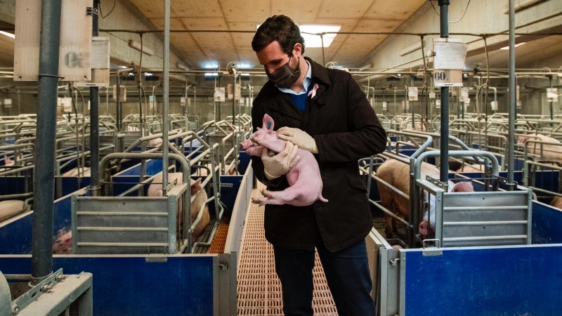 El líder del PP, Pablo Casado, visita una granja en la localidad de Lleida.