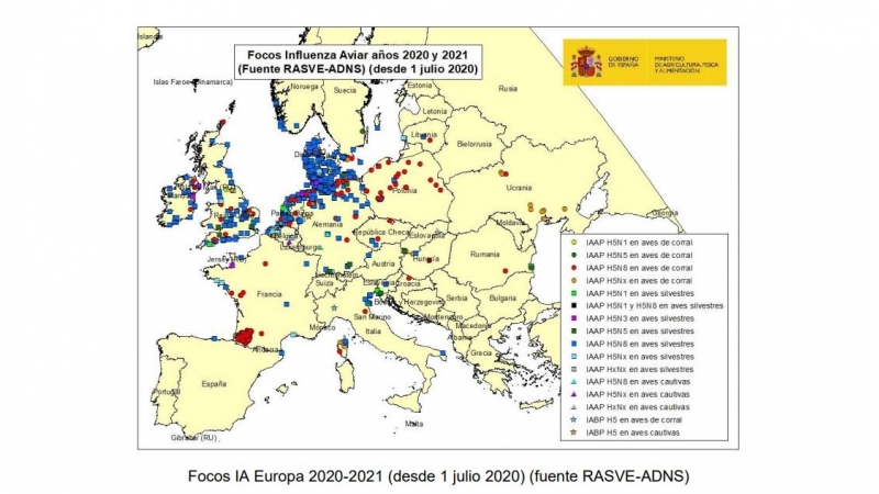 05/02/2021. Mapa europeo sobre la gripe aviar. - Ministerio de Agricultura