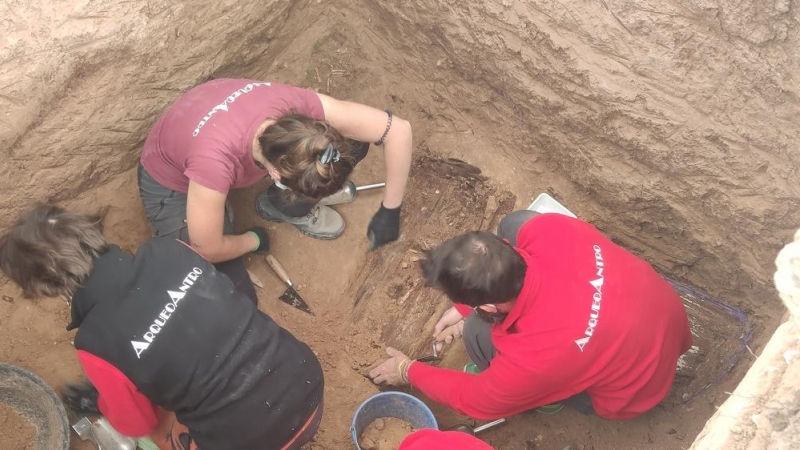 Un equipo multidisciplinar de ArqueoAntro trabaja en la primera excavación de una fosa en el cementerio de Alicante.