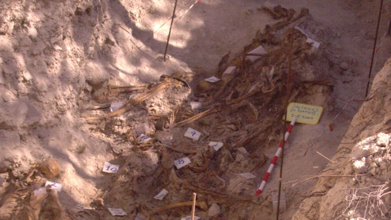 Restos óseos en la fosa común de Baltanás (El Portillo). - Asociación para la Recuperación de la Memoria Histórica