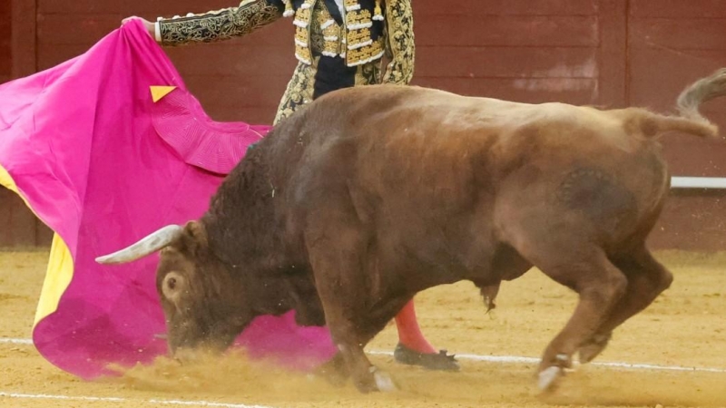 Corrida de toros en Las Ventas.