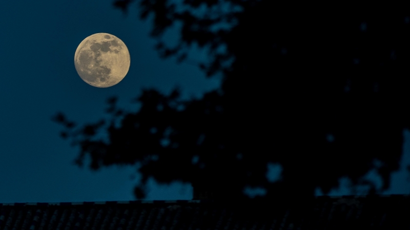 Imagen de archivo de la Luna llena en el Parque de María Luisa, el 26 de mayo de 2021 en Sevilla. - EUROPA PRESS