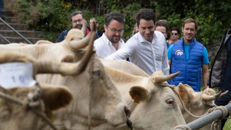 El secretario general del PP, Teodoro García Egea, visita una ganadería en La Palma.