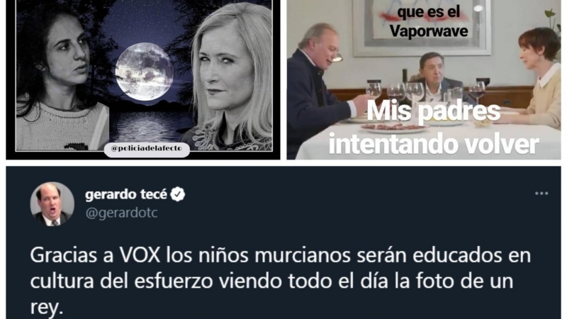 'Collage' de dos memes de la cuenta Policía del Afecto y un tuit de Gerardo Tecé. - Público