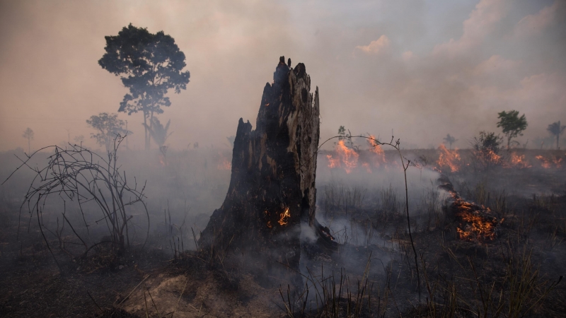 Fuego en el Amazonas.