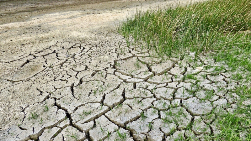 Cambio climático. Foto de archivo.