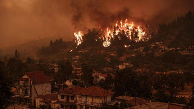 Un incendio envuelve los árboles en su camino mientras los incendios forestales se acercan al pueblo de Gouves en la isla de Evia, a unos 189 kilómetros al norte de Atenas.