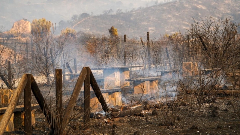 Llegan los primeros medios aéreos para sofocar el incendio de Málaga con 3. 600 hectáreas quemadas