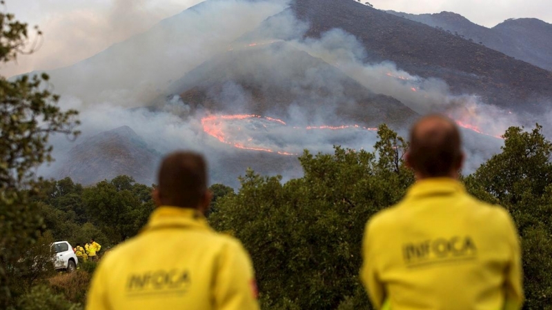 13/09/2021 El incendio de Sierra Bermeja deja decenas de animales carbonizados