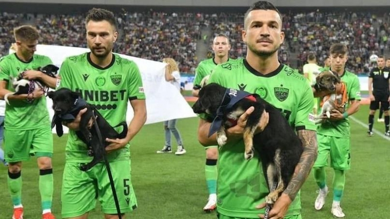 Los jugadores del Dínamo de Bucarest sosteniendo perros en adopción antes del partido.