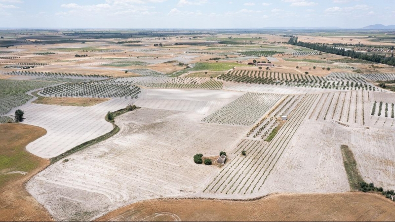 Vista aérea de los cultivos intensivos en las Tablas de Daimiel.