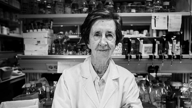 La científica Margarita Salas en una foto de archivo (fecha imagen: 9/11/2018).