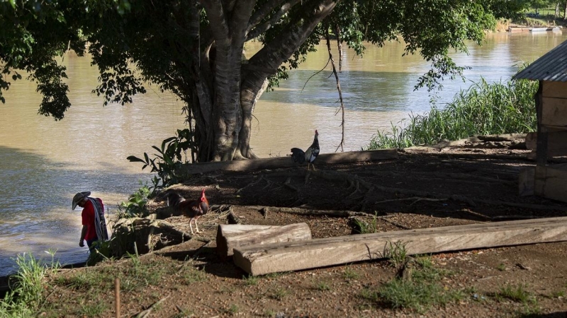 Vereda de Puerto Matilde, en el departamento de Antioquia, en la región del Madalena Medio (Colombia)