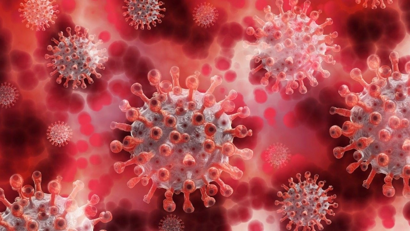 'Omicrón', la nueva variante sudafricana del coronavirus