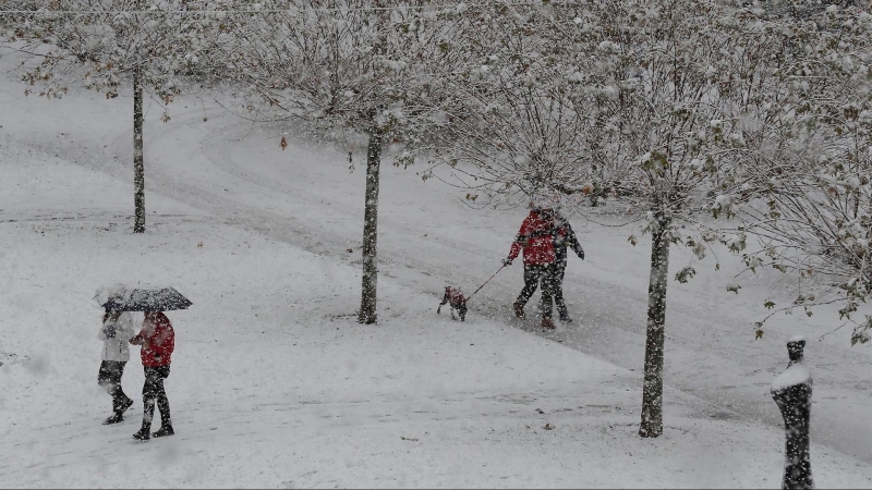 El temporal de nieve ha llegado de lleno este fin de semana a Pamplona donde este domingo ha empezado a nevar con fuerza en la capital navarra.