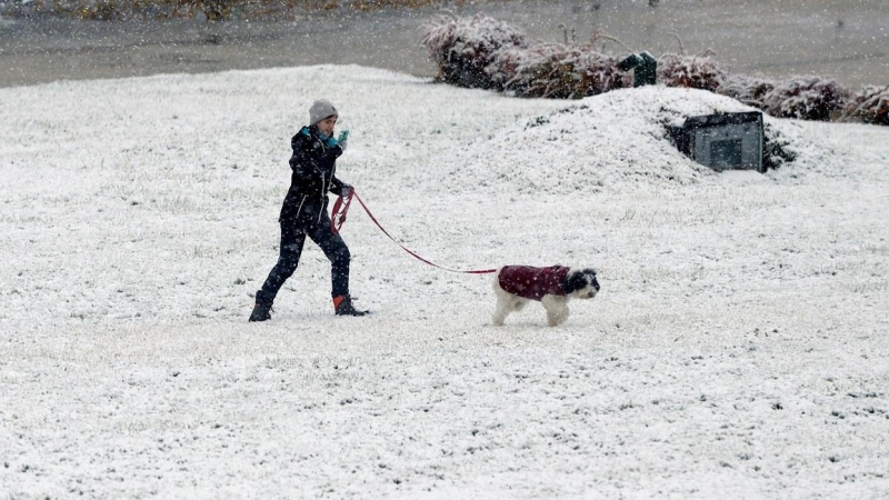 Una mujer pasea con su perro bajo la nieve caída esta mañana en Valladolid debido al temporal que afecta a la Península.