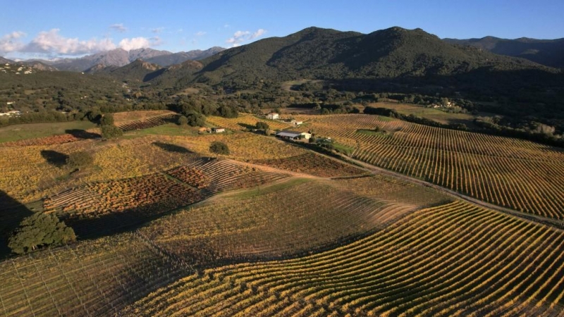 Una vista aérea tomada el 6 de diciembre de 2021 cerca de Ajaccio en la isla mediterránea francesa de Córcega muestra viñedos.
