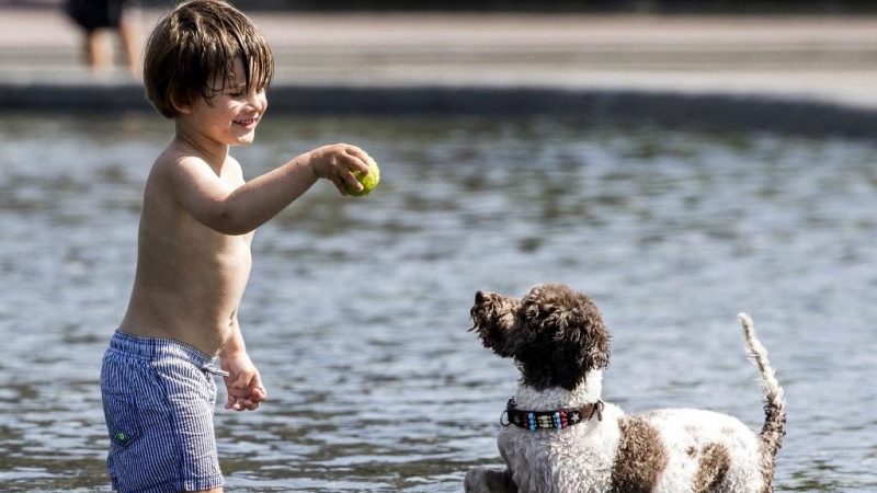 Un niño tienta a un perro con una pelota de tenis mientras juega en un estanque en Museumplein en Ámsterdam el 21 de mayo de 2020,