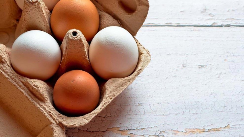 Alerta en Europa por un brote de salmonelosis en huevos de origen español