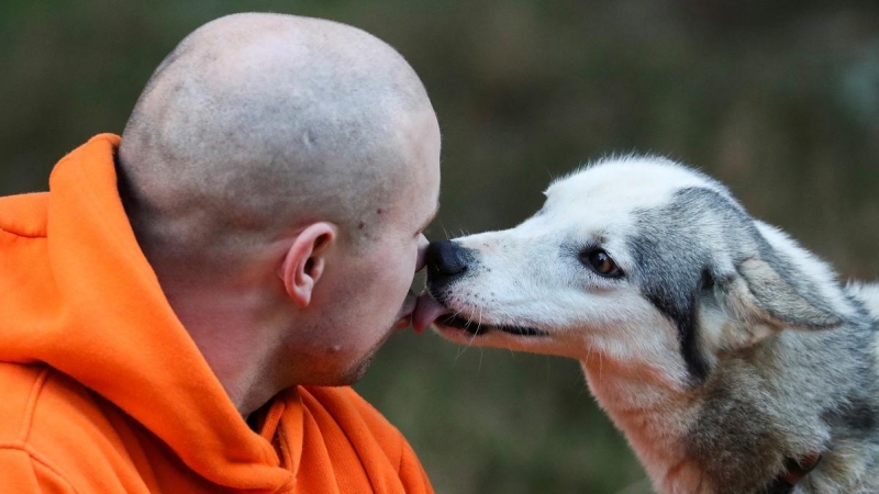 Un perro besa a su dueño.