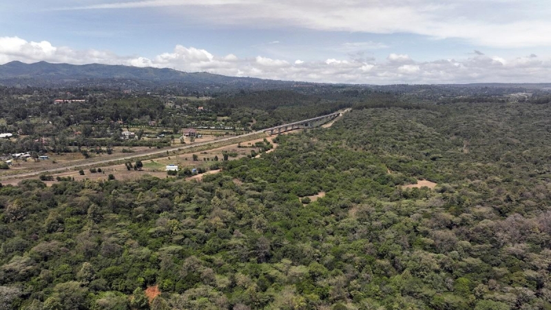 16/03/2022 Una fotografía aérea tomada con un dron muestra el bosque de Oloolua, cerca de Nairobi (Kenya)