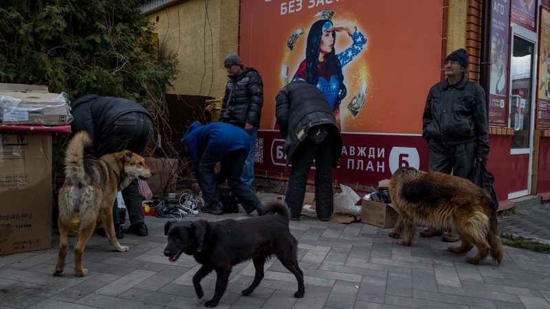 11/04/2022-Varias personas acompañadas de perros que buscan comida,  11 de abril, en Irpin (Ucrania)