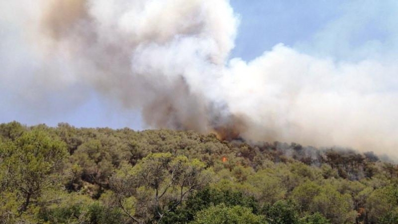 18/06/2022 - Columna de fum a l'incendi d'Olivella, al Garraf.