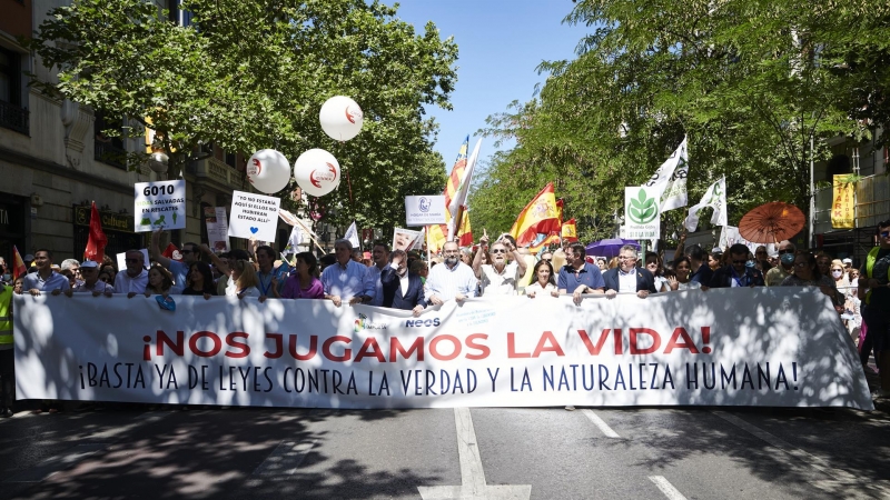 Manifestación contra la reforma de la ley del aborto convocada por organizaciones provida, este domingo en Madrid.