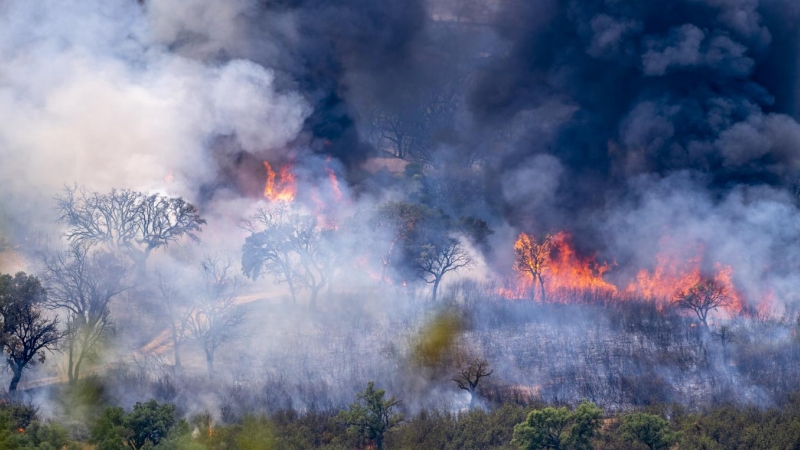 Incendio en el Parque Nacional de Monfragüe, en el municipio de Deleitosa (Cáceres).