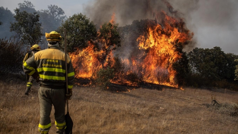 (18/7/22) Varios bomberos trabajan en la extinción del fuego del incendio de Losacio, a 18 de julio de 2022, en Pumarejo de Tera, Zamora, Castilla y León (España).