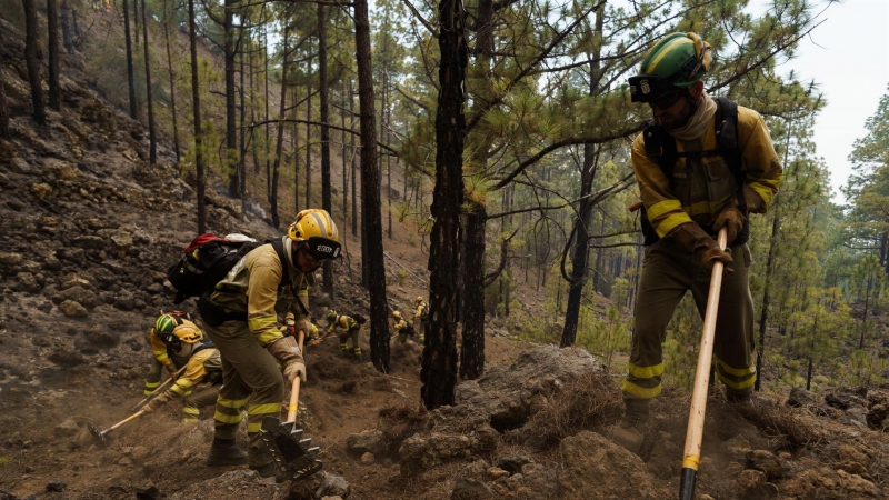 Personal del operativo Brifor realizan labores de perimetrado de puntos calientes en la zona de El Lagar, en el municipio de La Guancha, en el incendio que afecta dese ayer a la isla de Tenerife.