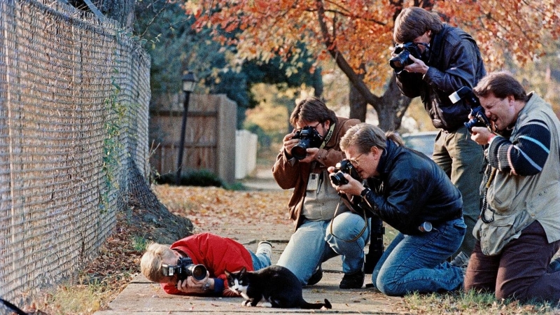 Los fotógrafos rodean a Socks Clinton, el gato del presidente demócrata (ARCHIVO)