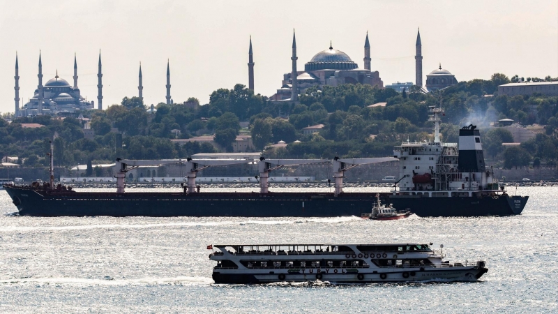 El buque de carga Razoni anclado en el Bósforo frente a Estambul
