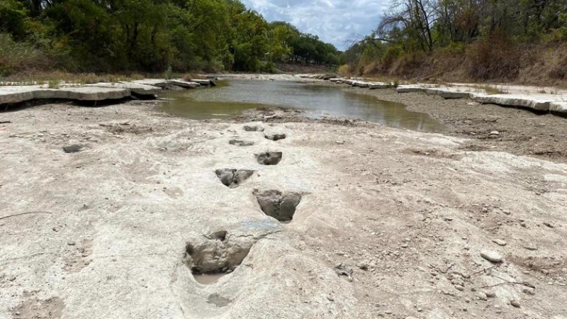 Huellas de dinosaurio descubiertas en el río Paluxy, en Texas (AFP)