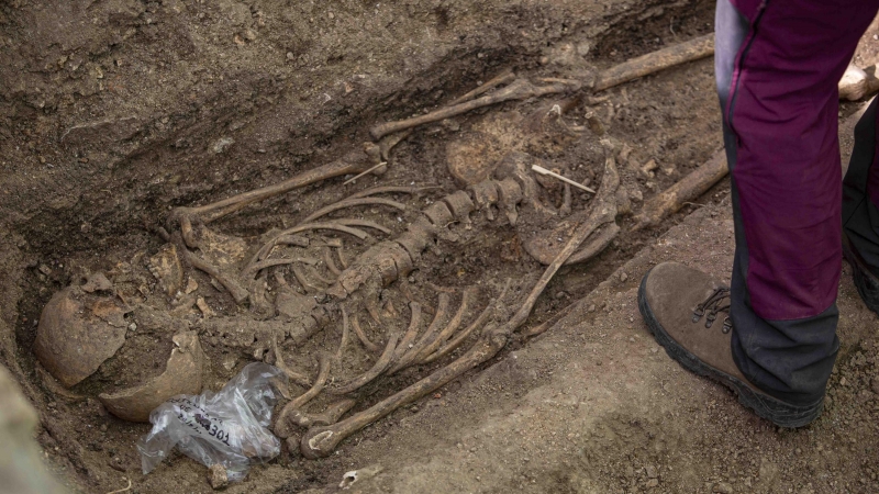 Uno de los cuatro esqueletos hallados en la fosa del cementerio parroquial de Colmenar Viejo, con impacto de bala en mandíbula y cráneo, según los arqueólogos.