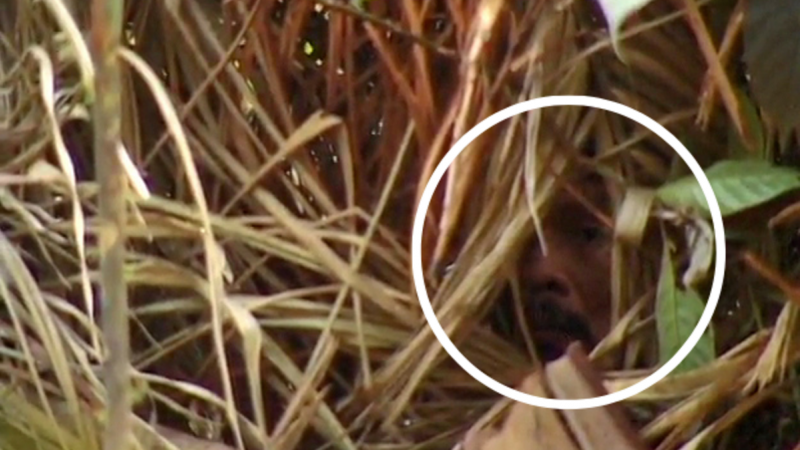 El 'indio del hoyo' se asoma desde su cabaña en un fotograma de la película Corumbiara, del cineasta Vincent Carelli.