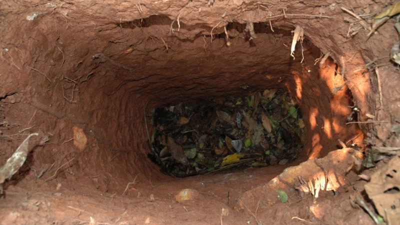 El hombre excava hoyos profundos para atrapar animales y para esconderse. Se cree que es el único superviviente de una tribu masacrada por terratenientes en los años setenta y ochenta.