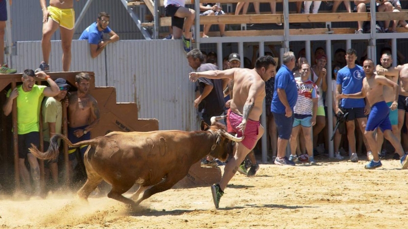 Imagen de archivo de un festejo 'bous al carrer'. EFE/Natxo Francés