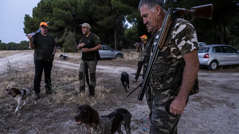 Varios cazadores junto a sus perros en Olmedo, en Castilla y León.