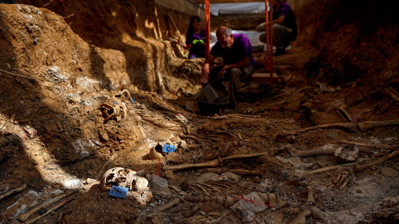 Julio del Olmo exhumación fosa común.