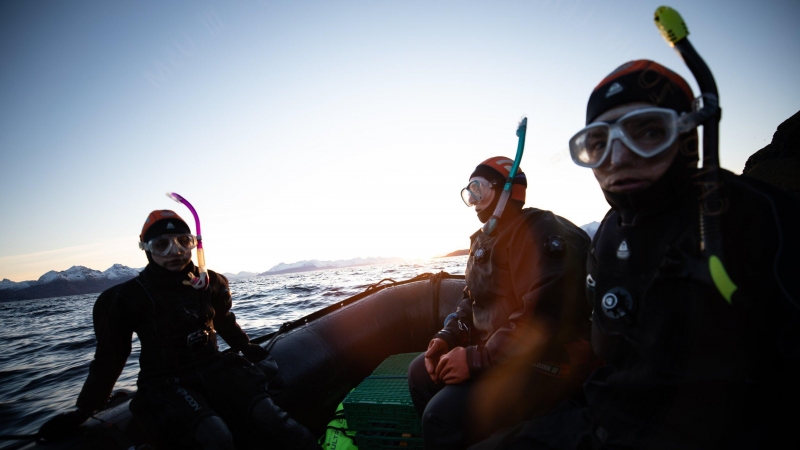 Las buceadoras de Sea Women Expeditions se preparan para sumergirse en el Ártico.