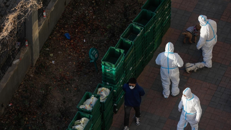 Trabajadores voluntarios pasean perros para los residentes fuera de un edificio de la Unidad con casos confirmados en Beijing, China