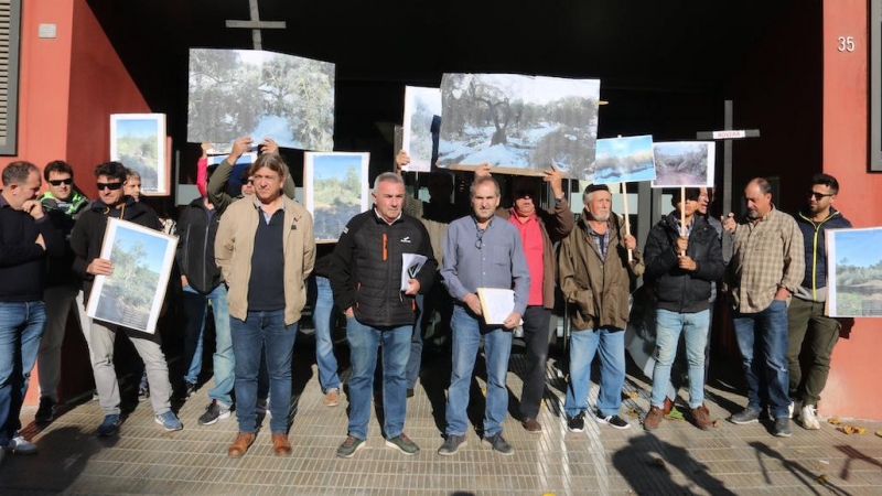 una protesta del mes de novembre a Lleida, en la qual els pagesos demanaven cobrar els ajuts pel temporal 'Filomena'.