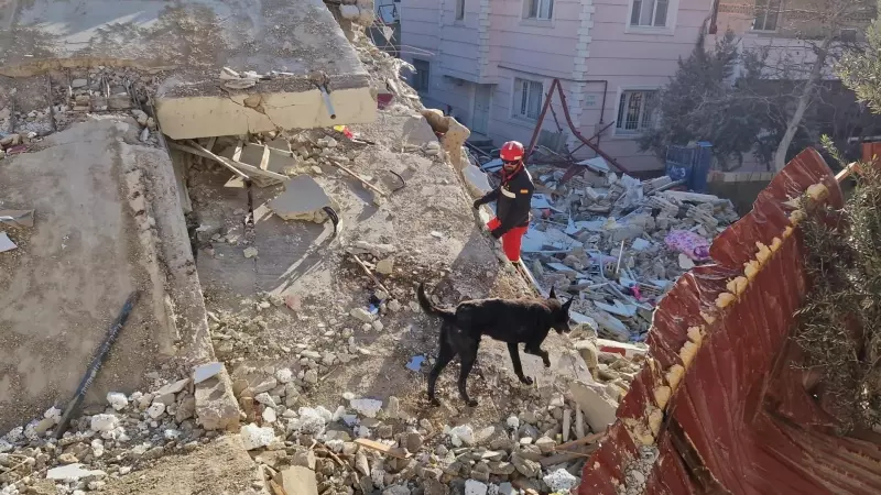 Efectivos de la UME buscan entre los escombros en Ganzitep, Turquía, este miércoles 8 de febrero de 2023.