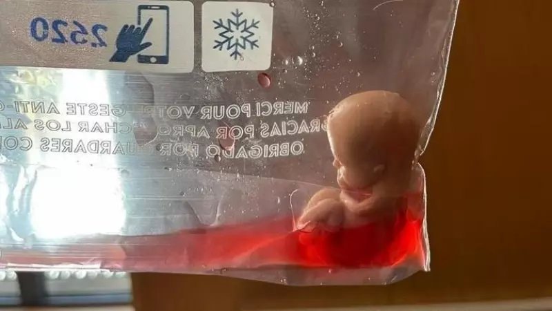 Imagen del muñeco de un feto en una bolsa de plástico enviado por Hazte Oír a todos los diputados del Congreso este lunes 27 de febrero de 2023.