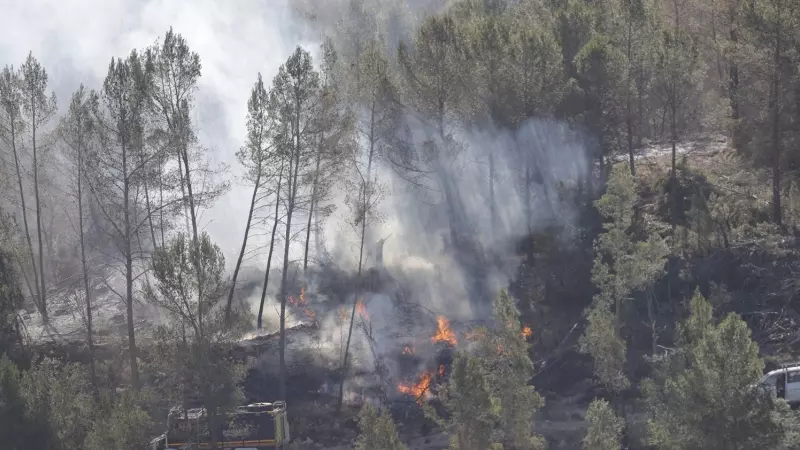 Varios bomberos trabajan en la extinción de uno de los focos del incendio forestal que afecta a las provincias de Castellón y Teruel.